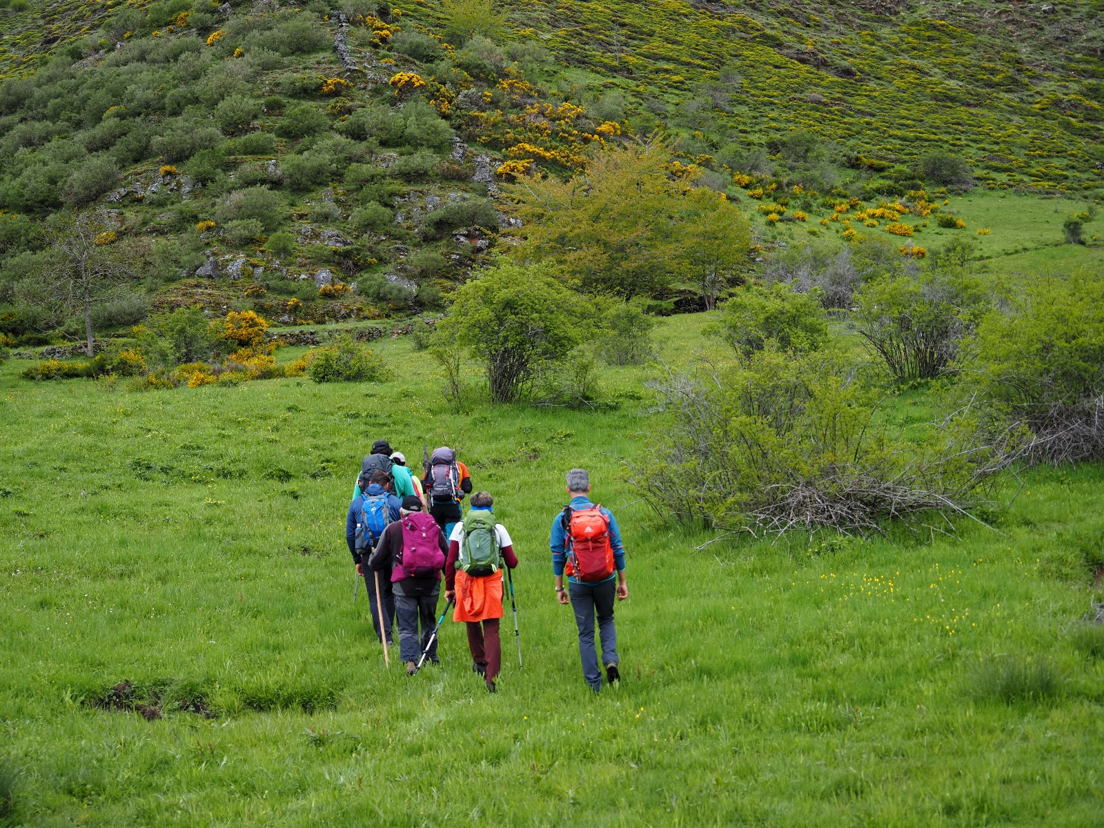 Personas caminando por la montaña.